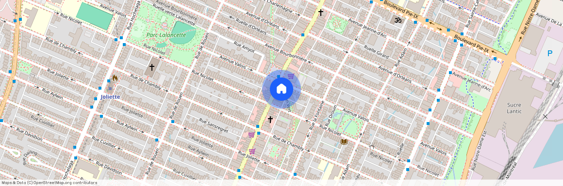1912 Av. Valois, app.2, H1W 3M4, H1W 3M4, Montréal
