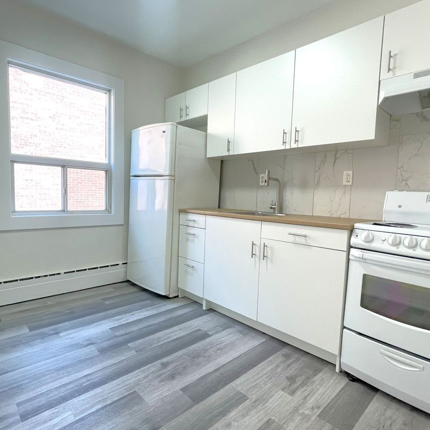 For Lease - 167 Barker Avenue Unit# Main, Toronto, Ontario - Photo 1
