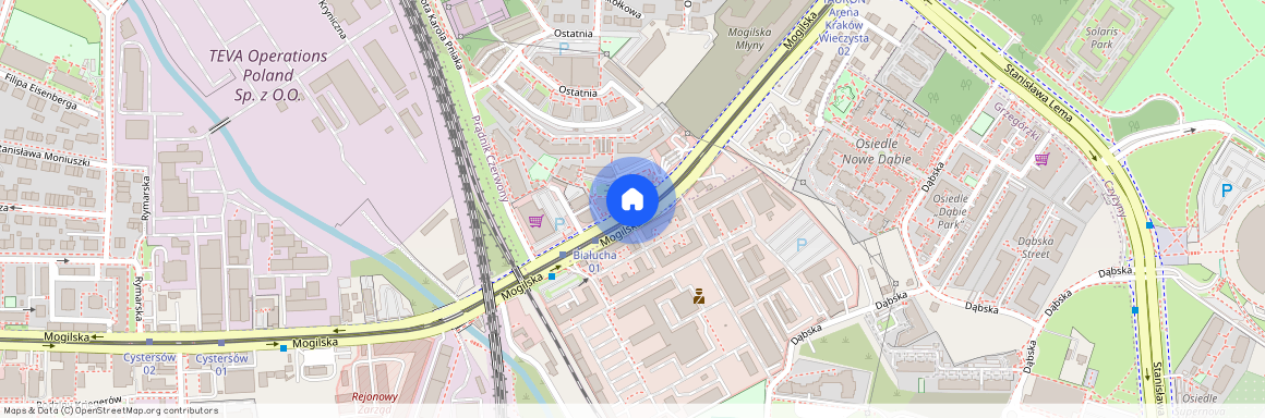 ul. Mogilska, Rakowice, Prądnik Czerwony, Kraków, małopolskie