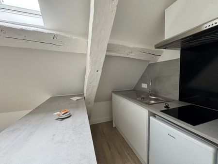 Location Appartement 1 pièce 21m² ORLEANS 45000 - Photo 3