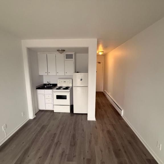 1 CH - 1 SDB - Montréal - $1,099 /mo - Photo 1