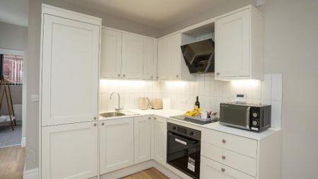 Apt 2, 19 Camden Street, Belfast, BT9 6AT - Photo 4