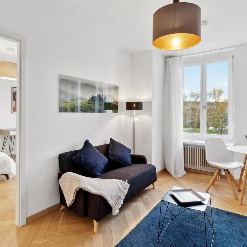 ✨ Appartement 1 Chambre Moderne à Louer à Zurich – Emplacement Idéal & Entièrement Rénové ! ✨ - Photo 1