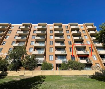 CITY VIEWS! Spacious 1 Bedroom, 1 Bathroom apartment in a secure co... - Photo 1