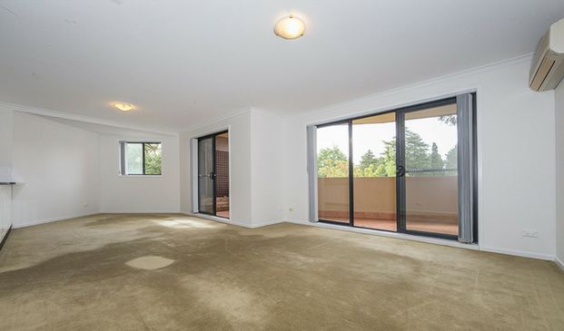 Two Bedroom Apartment in Great Area! - Photo 1