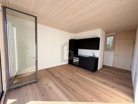 LICHTDURCHFLUTETER NEUBAU MIT GROSSEM GARTEN - Photo 5