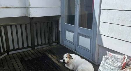 Quite quirky 2 bedrooms flat nestled in the - Photo 4