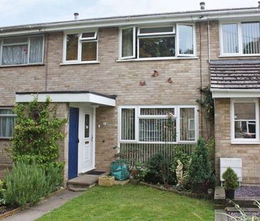 3 bedroom terraced house to rent - Photo 3