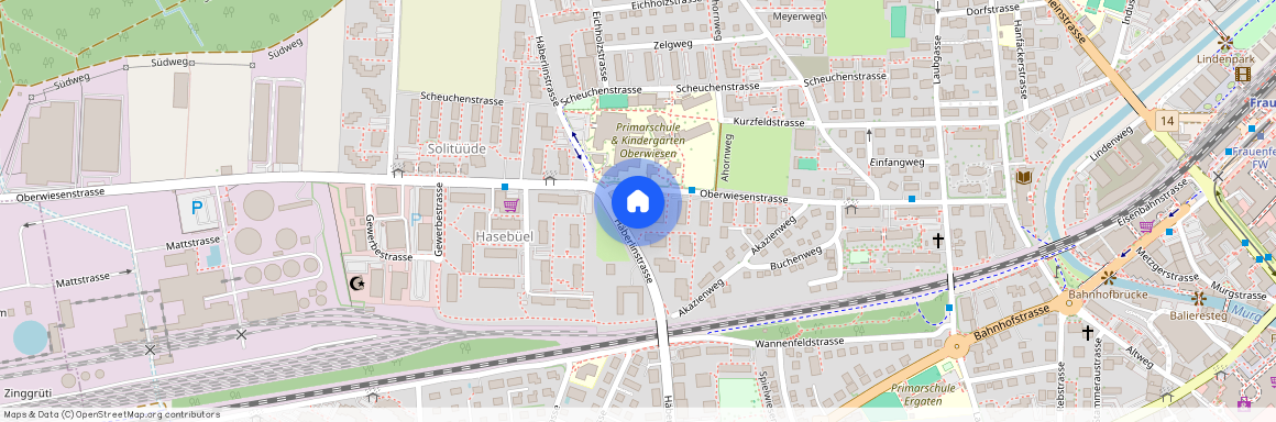 Oberwiesenstr, A 45 a, 8500 Frauenfeld