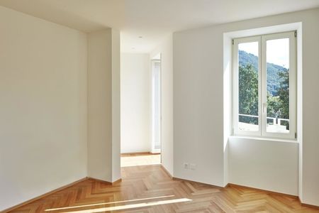 Renovated Period Villa, Gentilino 3 Bedroom Duplex Apartment - Photo 4