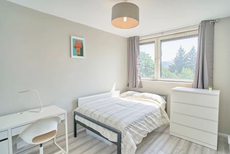 117 Candy Street – Room 4 - Photo 3