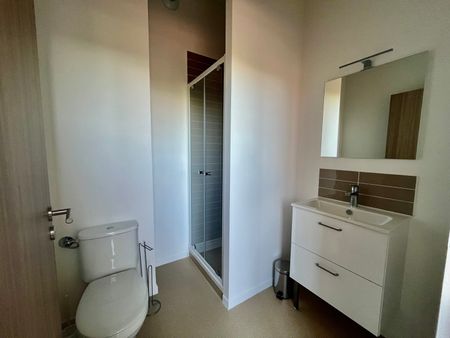 Location Appartement 1 pièce 18m² ALBI 81000 - Photo 4