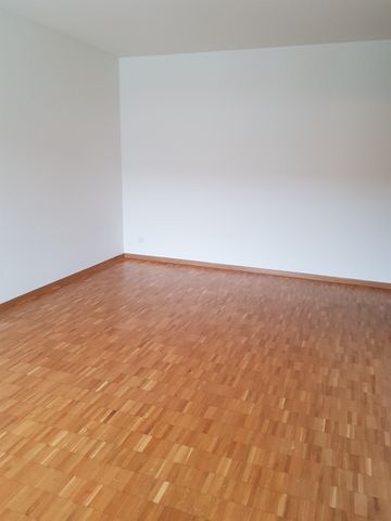 Gemütliche 1.0-Zimmerwohnung in Basel - Foto 3