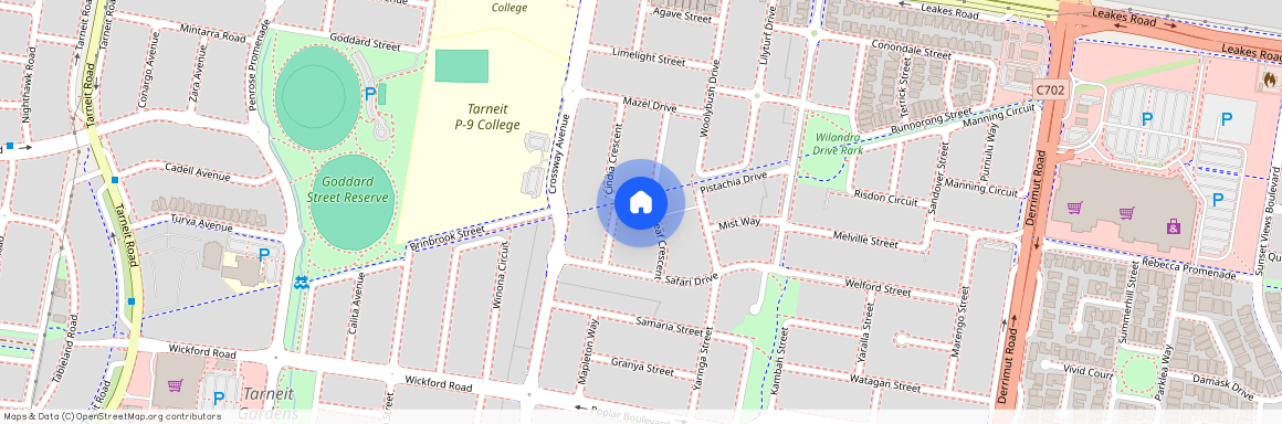 13 Cutleaf Crescent, Vic 3029, Tarneit