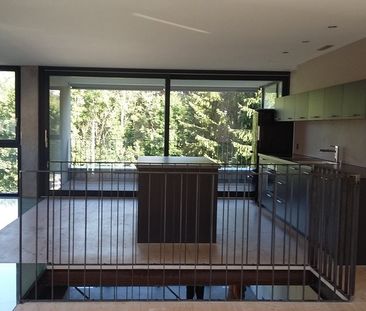 Ruhige Maisonettewohnung mit sonniger Terrasse zum Wald orientiert - Foto 1