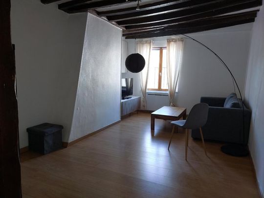 Location Appartement 2 pièces Meublé 46m² GAILLON 27600 - Photo 1