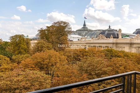 LOCATION SAISONNIERE- CHAMPS ELYSEES EN FACE DU PETIT PALAIS - Photo 3