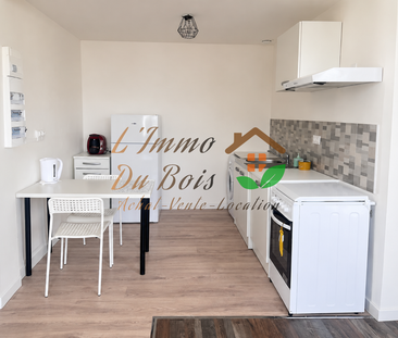 Location Appartement 1 pièce 32m² PELUSSIN 42410 - Photo 2