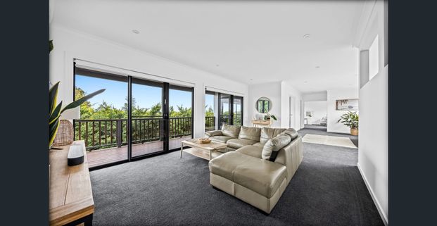 Lux Living - Photo 1