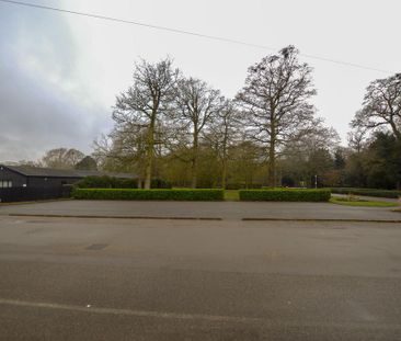 Land to rent - Photo 5