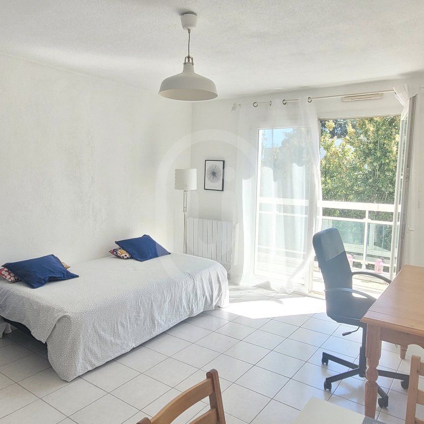 Location Appartement 1 pièce 24m² MONTPELLIER 34000 - Photo 1