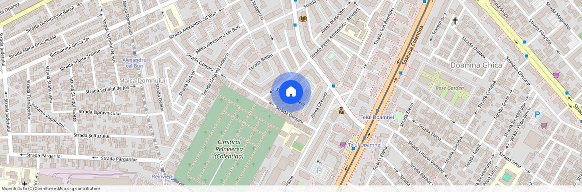 Strada Sanzieni, Tei, Sectorul 2, Bucuresti