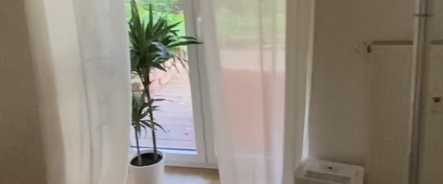 1.5 Zimmer Wohnung mit Garten und Terasse in Neckarstadt-Ost - Foto 1