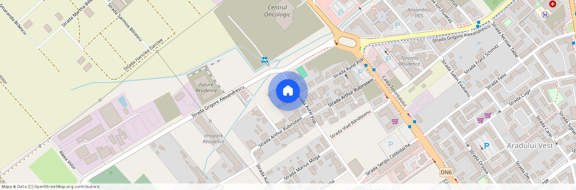 Timisoara