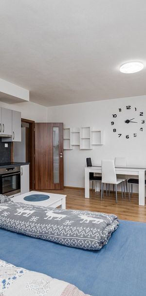 Pronájem bytu 1+kk 40 m² - Fotografie 1