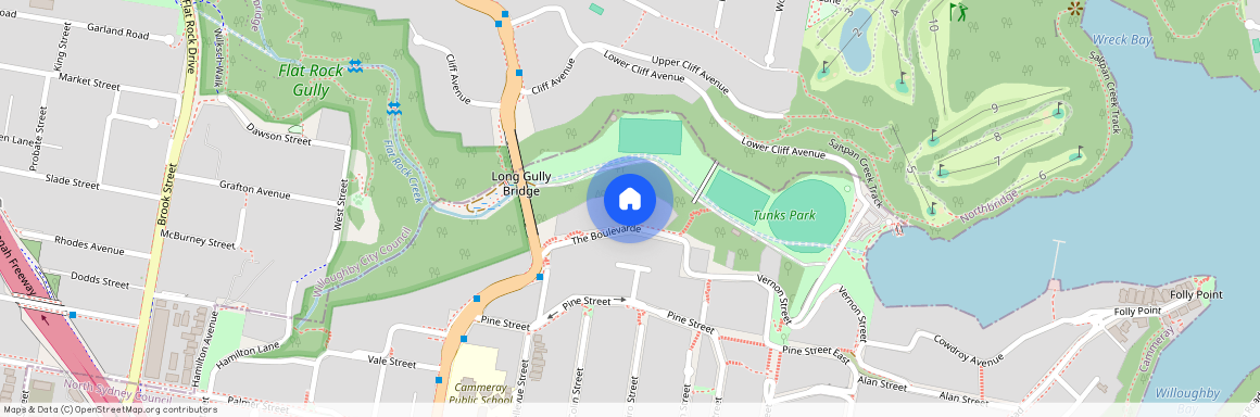 2/22 The Boulevarde, NSW 2062, Cammeray