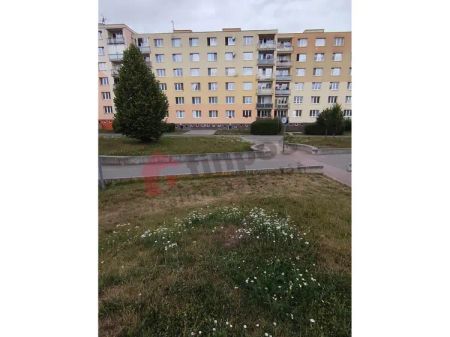 Pronájem bytu 2+1 52 m - Fotografie 4