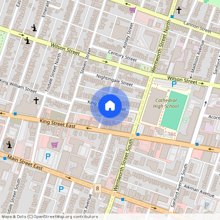 24 Ashley Street, Hamilton