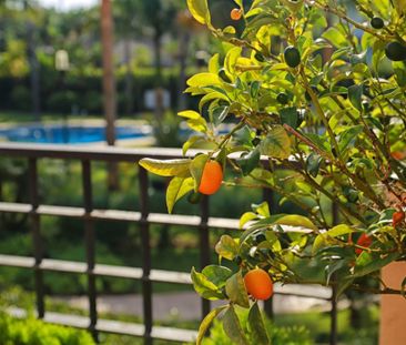 Puerto Banús, Puerto Banús, Málaga - Photo 5