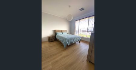 Stunning Modern Home - Photo 4