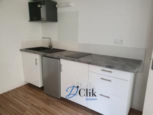 Location Appartement 1 pièce 17m² LAVAL 53000 - Photo 4