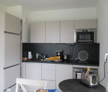Location Appartement 3 pièces 60m² ST JEAN DE BRAYE 45800 - Photo 5