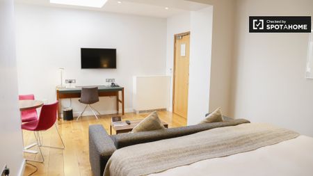 Serviced Studio apartment to rent in Ballsbridge, Dublin - Photo 3