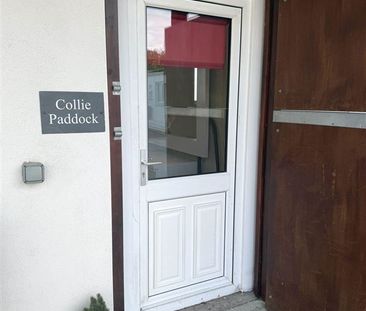 Collie Paddock, Donadea, Naas, County Kildare - Photo 6