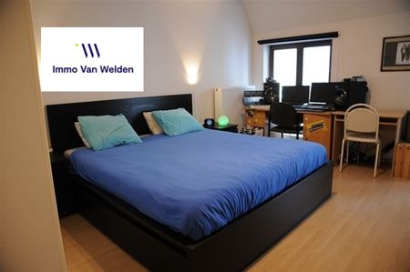 Gerenoveerd beluikhuisje in het centrum van Oudenaarde - Photo 3