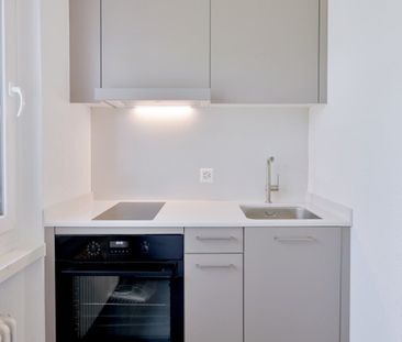 Newly renovated for you - Living wonder in Basel - Foto 3