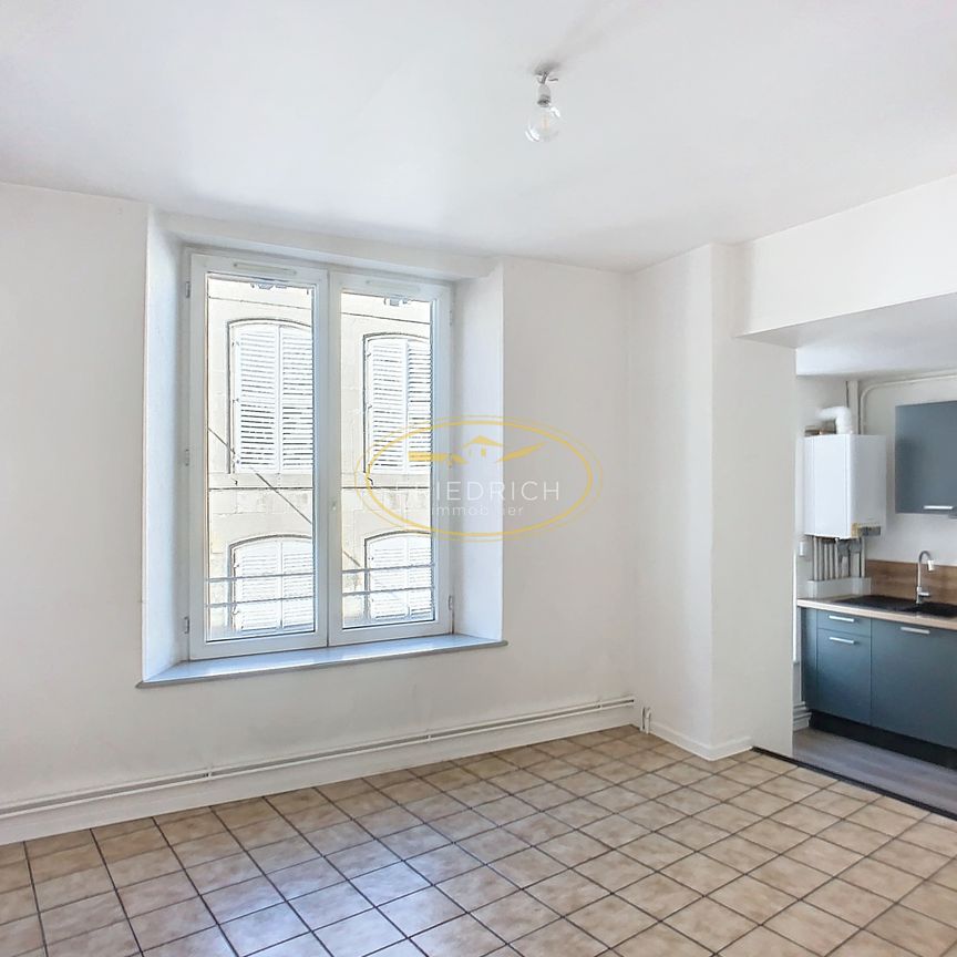 Location Appartement 2 pièces 44m² ST MIHIEL 55300 - Photo 1