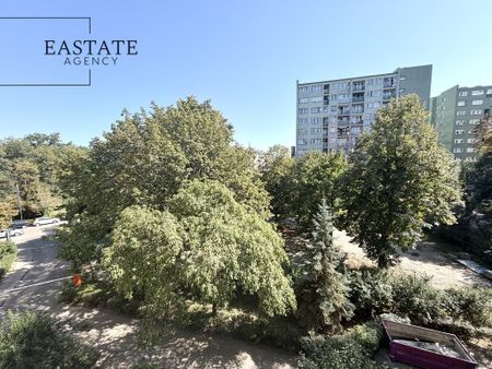 Warszawa, Śródmieście, Powiśle, Czerniakowska – zdjęcie 5