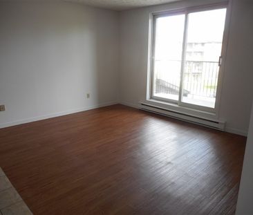 2080-310 rue Gauthier 1050$ Vacant - Photo 2