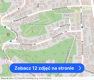 Przestronne 3pok z kominkiem, garaż-Działki Leśne - Zdjęcie 1