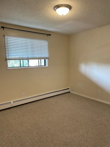 2 BDRM/1.5 BATH - River Trails/Lawson Mall - AVAILABLE FEB 7 - Photo 4