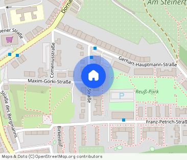 Gera, Reuß-Park: Kuschlige 2-Raum-DG-Wohnung! (B 1.16) - Photo 1