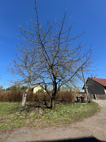 Pronájem bytu 5+kk 120 m², Hlínoviště, Bělá pod Bezdězem - Photo 3