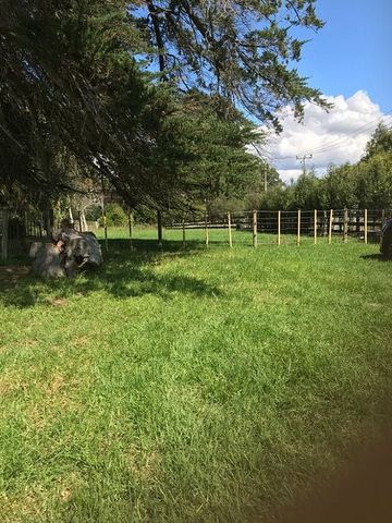 Slice of Paradise in Wine Country - Photo 4