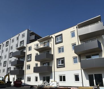 ERSTBEZUG „ein viertel grün“ in Wiener Neustadt - herrliche 2 Zimme... - Photo 1