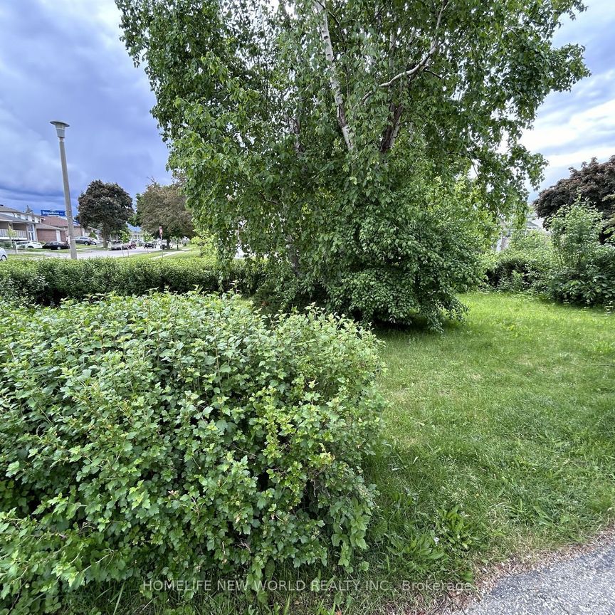 For Lease - 32 Andes Road Unit# Bsmt, Toronto, Ontario - Photo 1